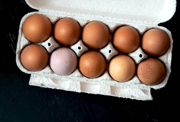 istock Fresh domestic eggs on a dark background. Organic food 1224803869