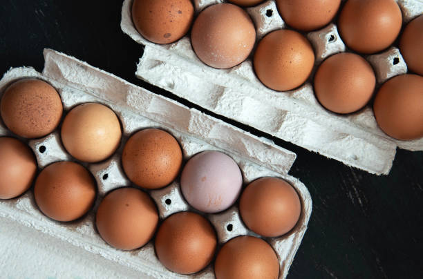 istock Fresh domestic eggs on a dark background. Organic food 1224803870
