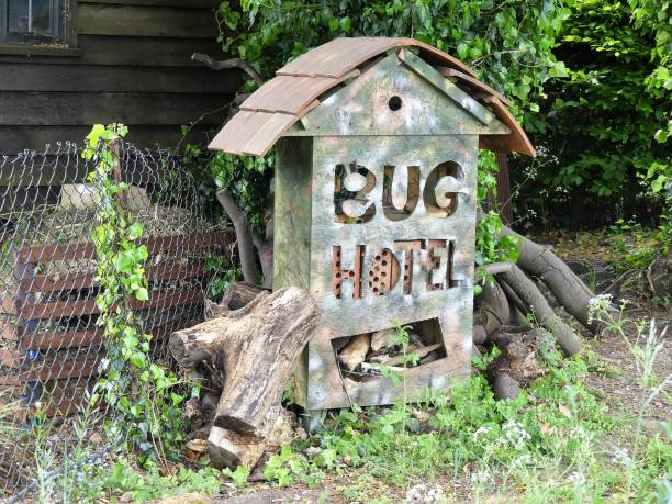 This photo was taken in Chorleywood, Hertfordshire, England, UK