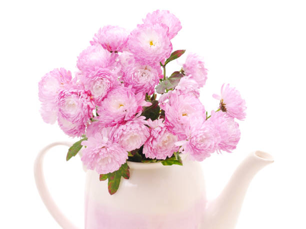 istock Beautiful red chrysanthemums in kettle. 1224805465