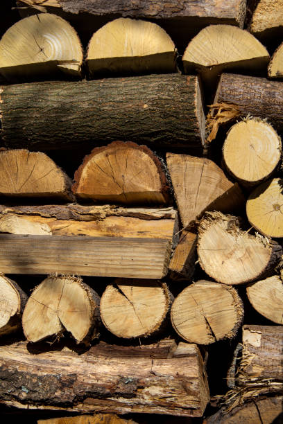 istock Background of dry chopped firewood logs. Vertical shoot 1224806294