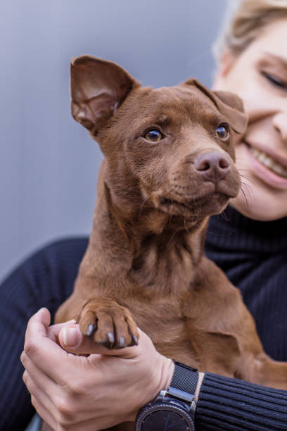 istock Blonde woman with a puppy 1224806653