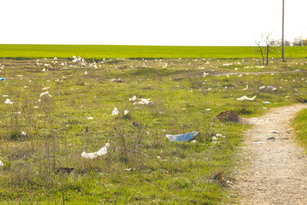 istock Garbage carried by the wind across the field 1224808691