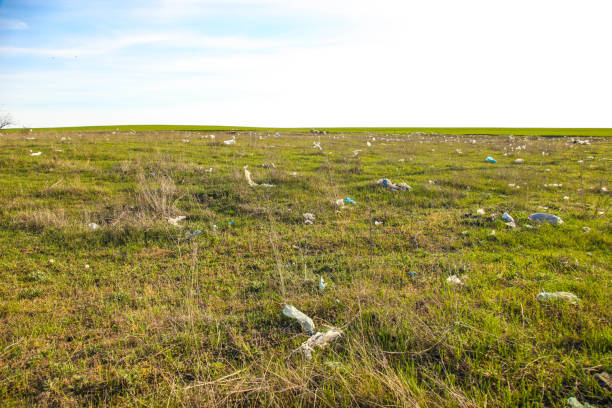 istock Garbage carried by the wind across the field 1224808695