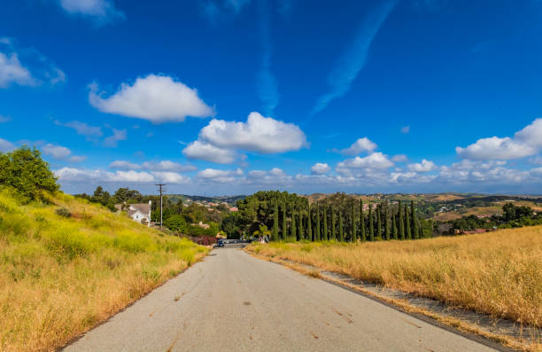 The time in late spring of Southern California is vast and fertile, still.\nPhoto took a the Carbon Canyon, city of Chino Hill, CA.