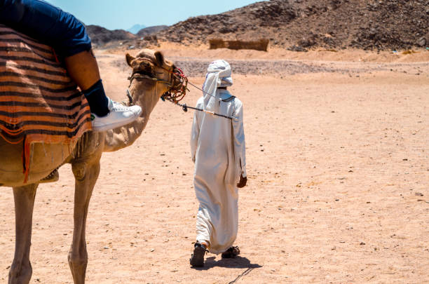 アラビアを探検する - united arab emirates middle eastern ethnicity men camel ストックフォトと画像