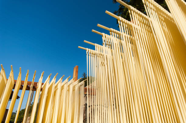 On Shodoshima in Kagawa Prefecture, noodles such as udon and noodles are made using the weather with a lot of fine weather. This is a dry landscape of the udon that is finished.
