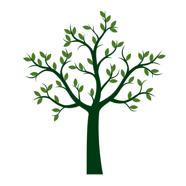 Top 148+ Imagenes de arbol de la vida para dibujar Top 148+ Imagenes de arbol de la vida para dibujar