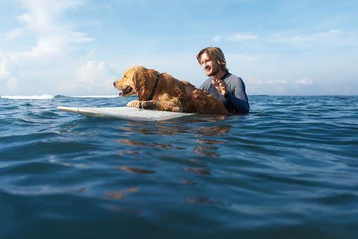 Surfer Portrait. Surfing Man With Dog On Surfboard Swimming In Ocean. Water Sport As Hobby. Beautiful Sea And Blue Sky On Background.