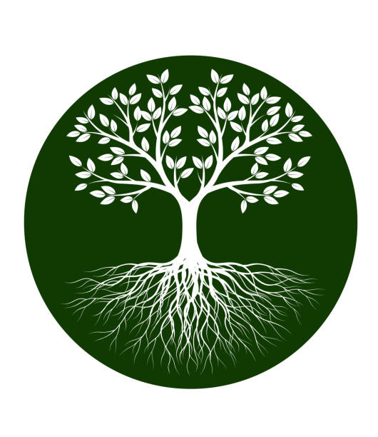 White Spring decorative Tree of Life on green background. Silhouette shape with Leaves. Vector outline Illustration. Plant in Garden. Royalty free vector object. White Spring decorative Tree of Life on green background. Silhouette shape with Leaves. Vector outline Illustration. Plant in Garden. Royalty free vector object. tree of life stock illustrations