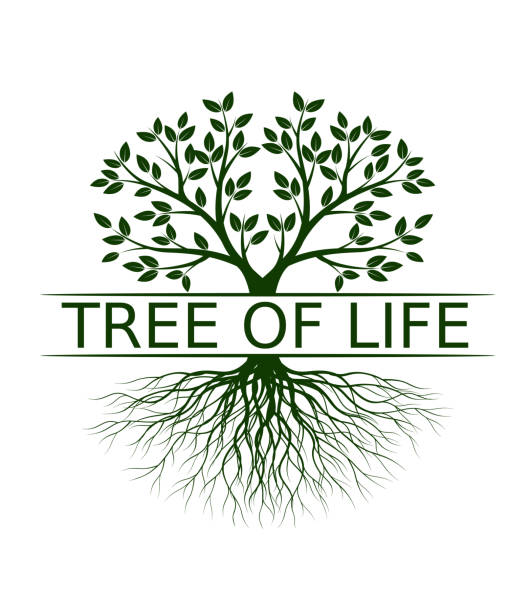 Tree of Life and company name. Silhouette shape with Leaves and Roots. Vector outline Illustration. Plant in Garden. Royalty free vector object. Tree of Life and company name. Silhouette shape with Leaves and Roots. Vector outline Illustration. Plant in Garden. Royalty free vector object. tree of life stock illustrations