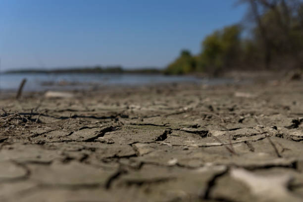 istock Cracked, muddy ground at the river bank with river Danube in background 1224813976