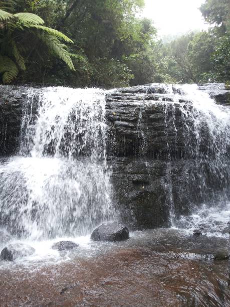 Beautiful water falls of India Kodaikanal, Tamilnadu, India kodaikanal photos stock pictures, royalty-free photos & images