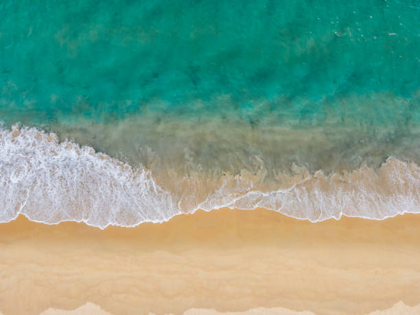 istock Aerial Drone view beautiful empty beach. Top view wave from sea come to beach.  With copy space. 1224819203