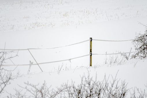 A single fence post in a snowy landscape, blurred bushes are in the foreground, close-up