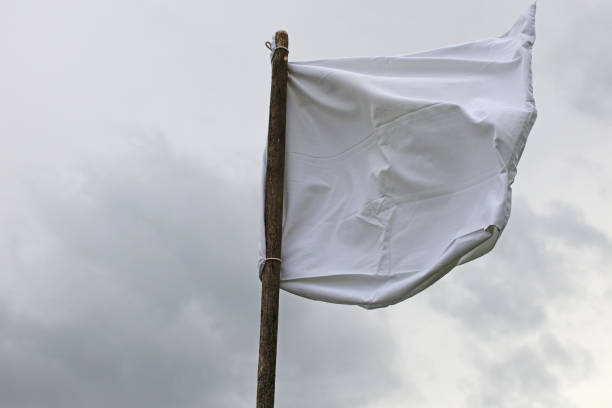 le drapeau blanc contre le ciel gris. - surrendering photos et images de collection