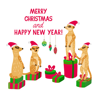 A happy meerkat family wearing santa hats stands on gift boxes. Vector illustration in red and green colors for greeting cards, posters and xmas souvenir products. Isolated on white.