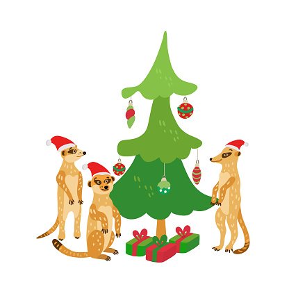 A happy family of meerkats wearing santa hats stands around a Christmas tree. Vector illustration in red and green colors for greeting cards, posters and xmas souvenir products. Isolated on white.