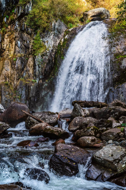 istock Waterfall in the autumn mountain forest 1224825780
