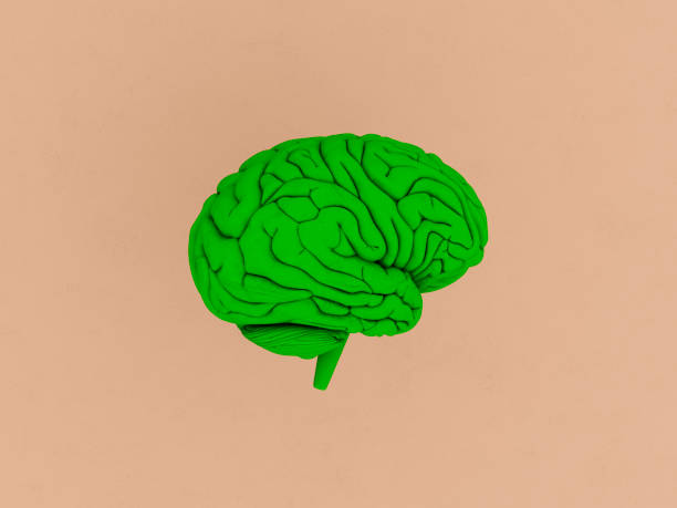 istock Green brain of craft background.3D rendering. 1224825839