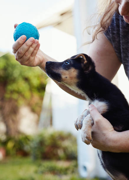 istock Keep your eyes on the ball 1224830206