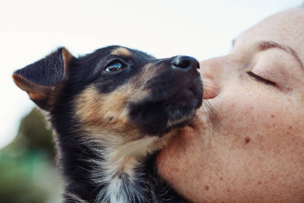 istock Pooches deserve smooches 1224830270