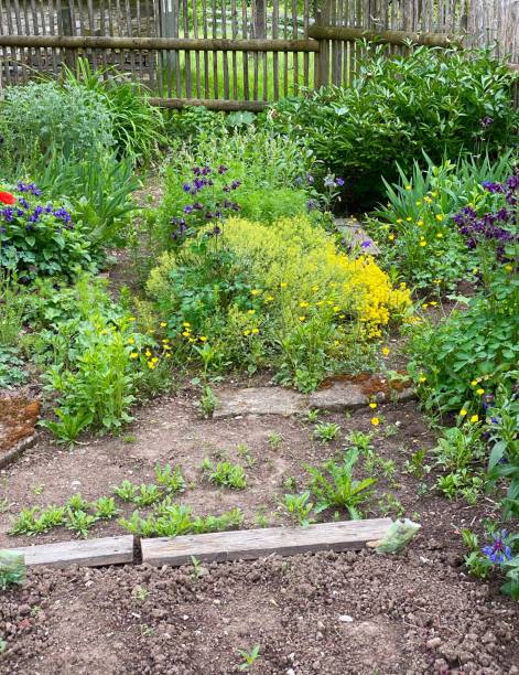 istock Farmhouse garden 1224832123