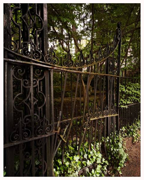 istock Old Wrought Iron Fence 1224832289