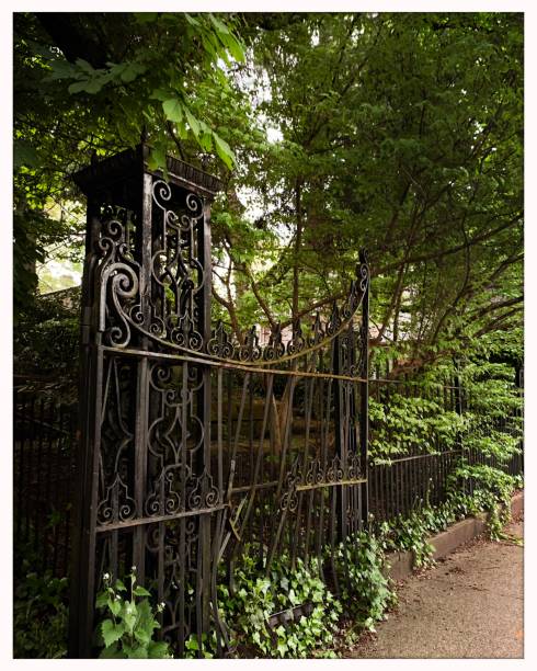 istock Old Wrought Iron Fence 1224832292