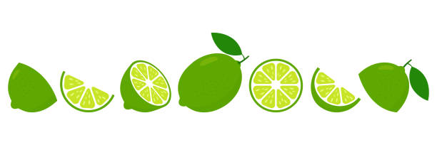 ilustraciones, imágenes clip art, dibujos animados e iconos de stock de conjunto de rodajas frescas de lima. cortar la rodaja de fruta de limas para limonada - lime wedge