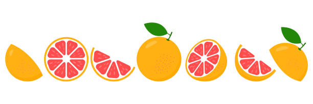 ilustraciones, imágenes clip art, dibujos animados e iconos de stock de conjunto de rodajas frescas de pomelo. - vegetarian food freshness raw pink