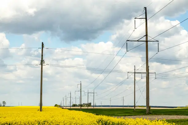 Photo of Power transmission high voltage lines over the agricultural rapeseed field landscape.