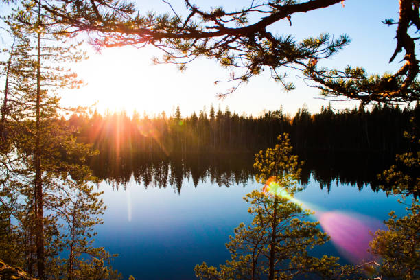 Sunset above a small lake in Finland. Pine trees on the foreground.