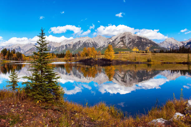 istock Autumn forest is reflected in the lake 1224841522