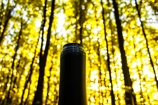 Thermal mug against the background of sunny forest