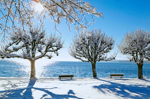 Winter in Tutzing on Lake Starnberg, Bavaria, Germany, Europe