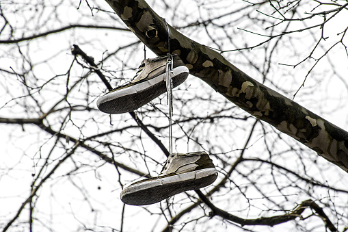a pair of dark and light brown colored, old sneakers hang on a branch