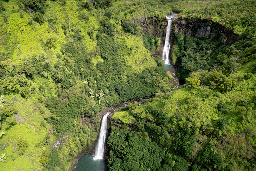 Mount Waialeale is the rainiest spot on Kauai, and the fresh water flows over and through lush growth and rock.