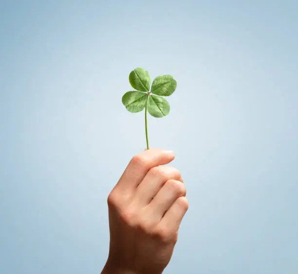 Photo of Lucky four leaves clover