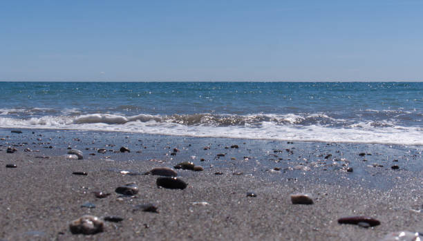 istock Sunny afternoon at the beach 1224853564