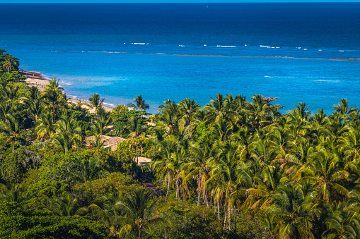 Sobre la playa tropical con palmeras en Bahía, noreste de Brasil - Porto Seguro, Arraial d'Ajuda photo