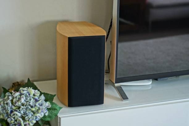 istock one black brown audio speaker stands on a white table with a television 1224855337