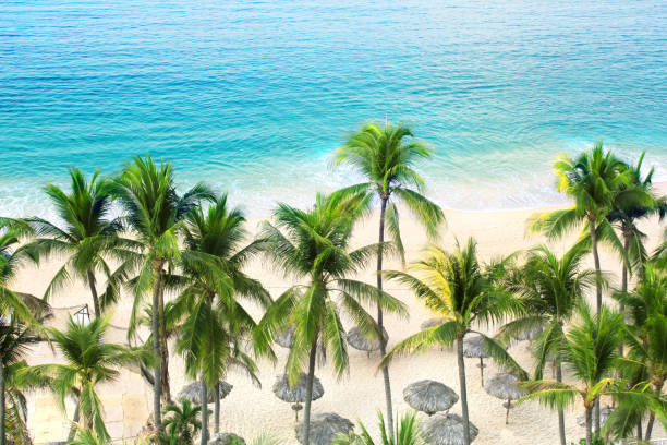 istock Palm trees, ocean waves and beach, Acapulco, Mexico 1224857047