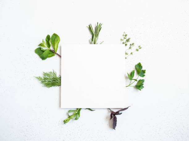 istock Various fresh garden herbs and white square on light background 1224857949