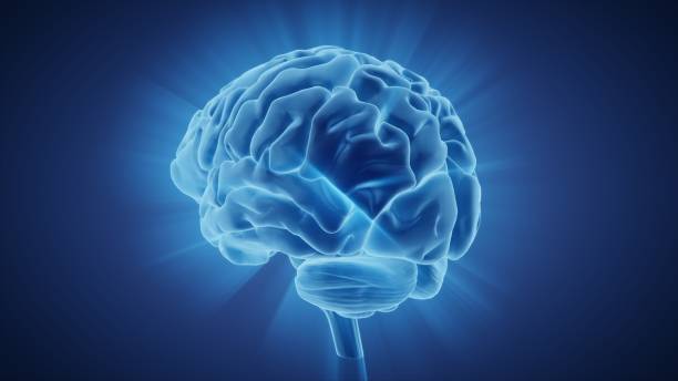 istock 3d render human brain with convolutions and a radiance of light 1224859419
