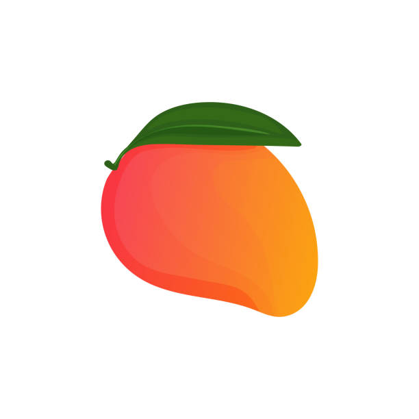 ilustraciones, imágenes clip art, dibujos animados e iconos de stock de ilustración vectorial con un mango afrutado en estilo de dibujos animados. brillante y jugoso icono de mango aislado sobre un fondo blanco. para diseño simple de etiquetas y logotipos. - healthy eating green drink non alcoholic beverage