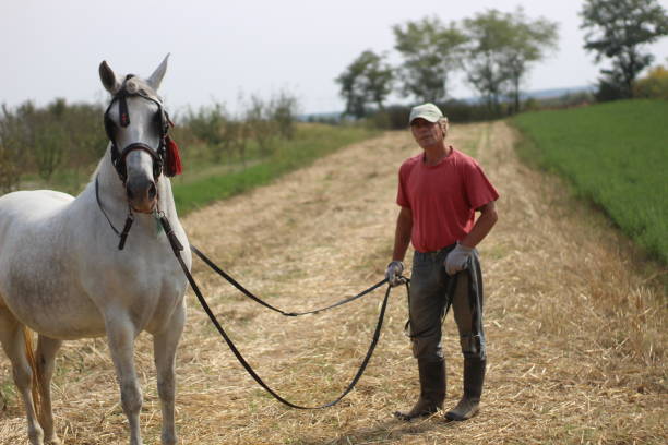 istock Older man love horses 1224860060