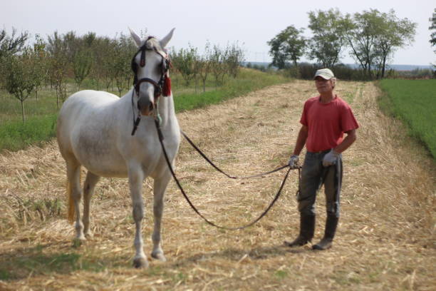 istock Older man love horses 1224860837