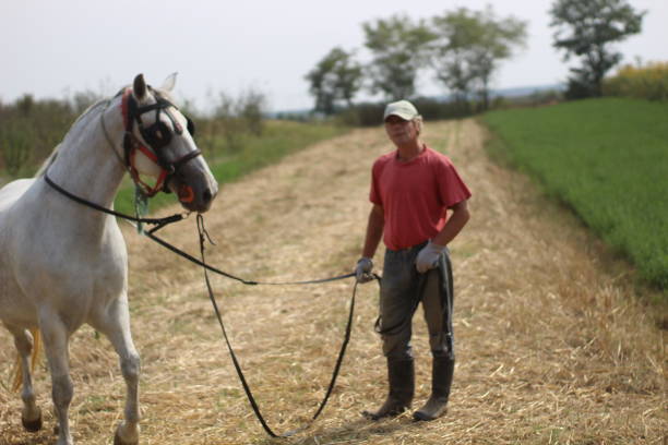 istock Older man love horses 1224861194