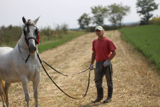 istock Older man love horses 1224861227